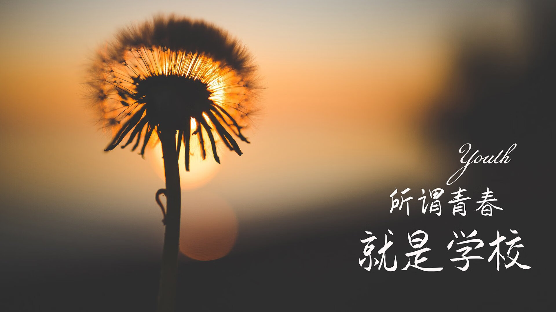 开云官网APP下载-“细节制胜：联盟中最微妙的战术变化”，细节致胜
