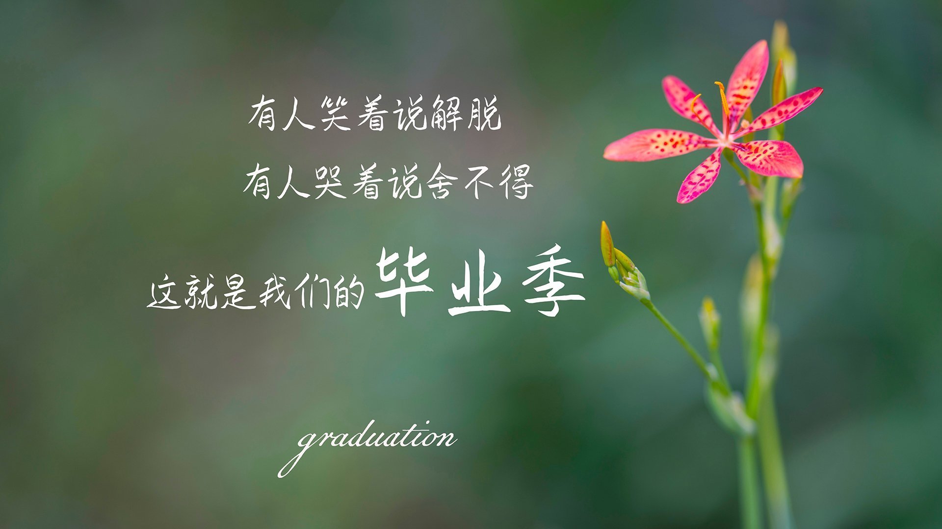尼日利亚年轻球员崭露头角，尼日利亚球员名单