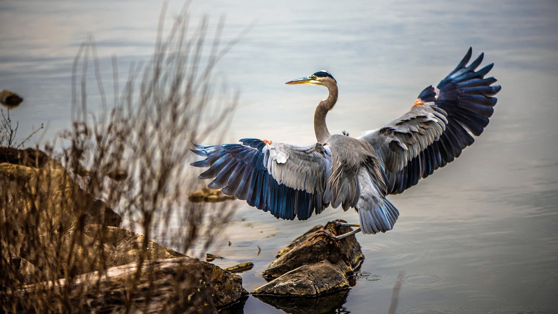 Kaiyun APP-南非跳水组合配合完美无瑕，南非跳伞