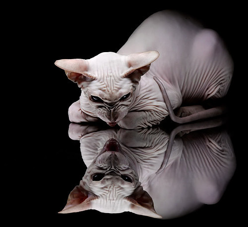 巴西青训体系持续升级，涌现出众多足球天才