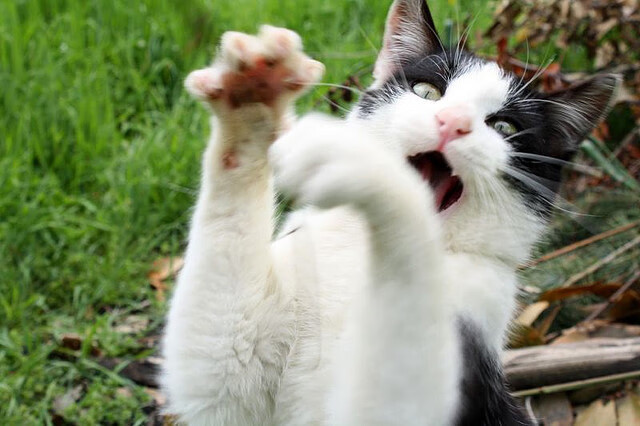 米切尔持球推进节奏控制得当，米切尔防守如何