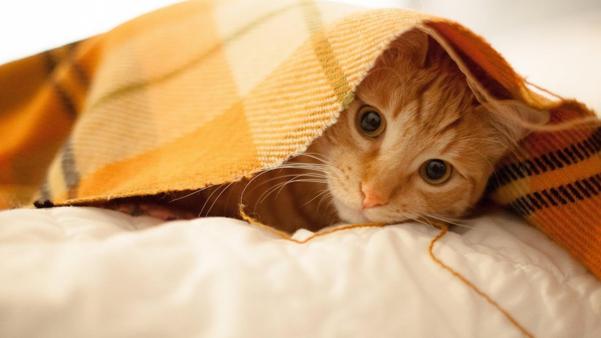 kaiyun中国官方网站-西甲技术秀：球星过人、射门完美合集，西甲球员射手榜最新排名