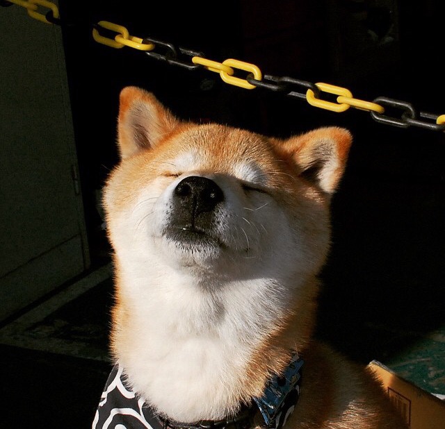 马拉维男篮在非洲锦标赛中豪取冠军,体育崛起步伐加快,独创非洲马拉维